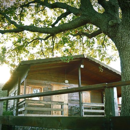 Agriturismo Kikajon Linguaglossa Eksteriør bilde