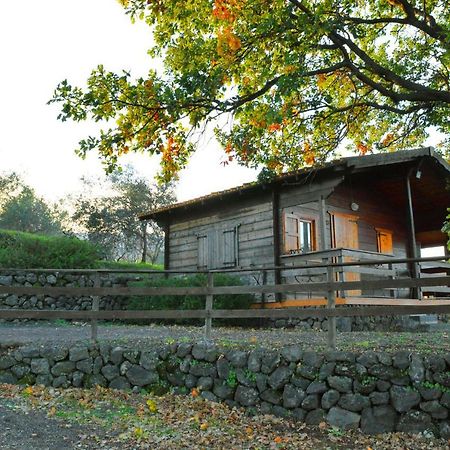 Agriturismo Kikajon Linguaglossa Eksteriør bilde