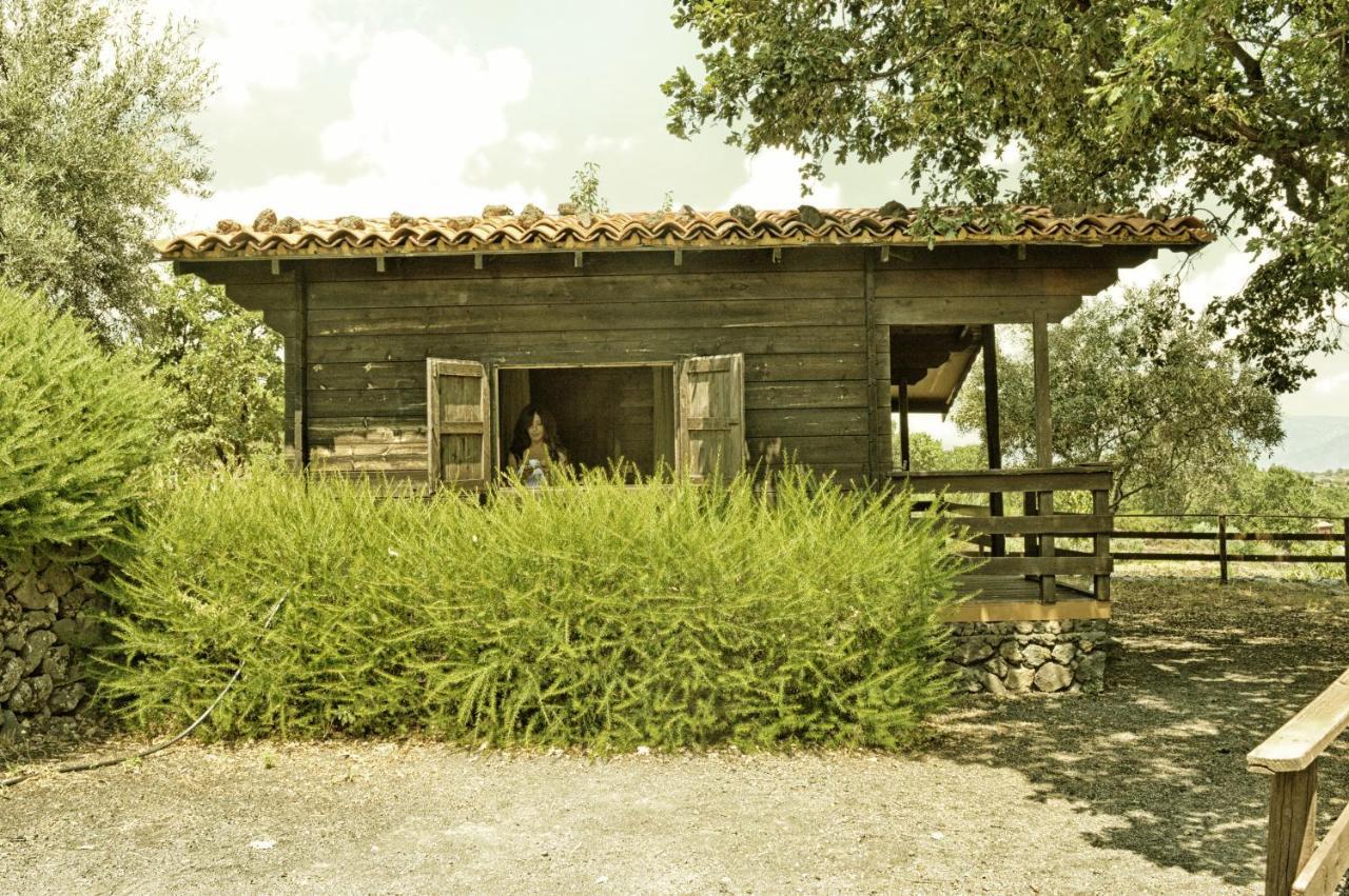 Agriturismo Kikajon Linguaglossa Eksteriør bilde