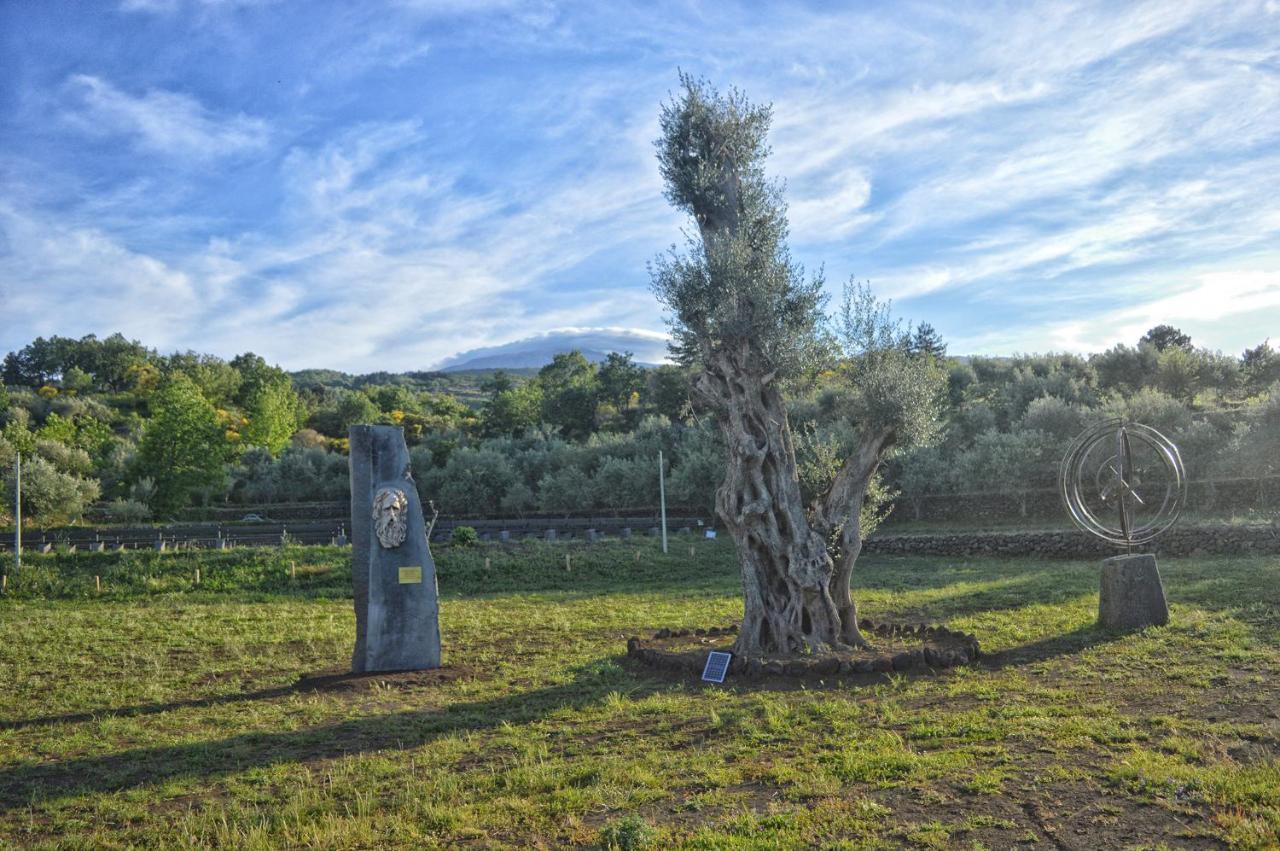 Agriturismo Kikajon Linguaglossa Eksteriør bilde